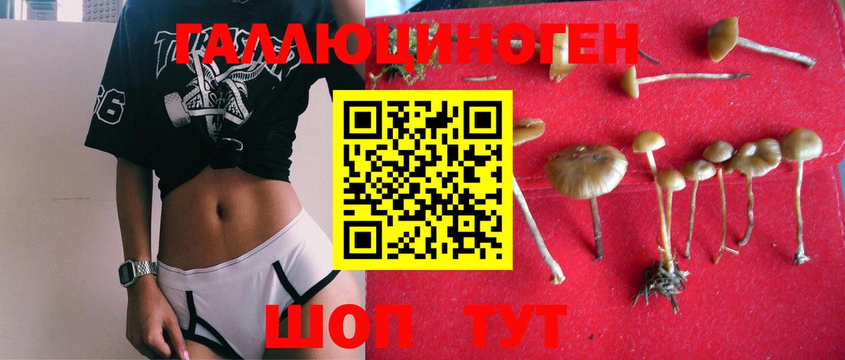 Ковров  Псилоцибиновые грибы мицелий  Вход с VPN 